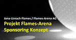 Sponsoring-Konzept Titelbild Flames-Arena